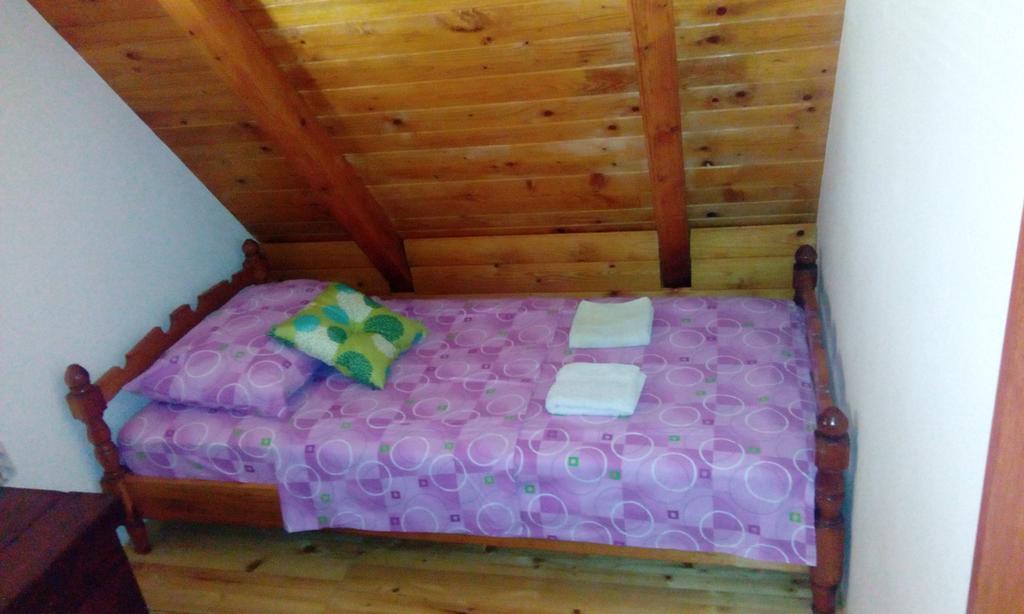 Vacation Home Nana Mokra Gora Dış mekan fotoğraf
