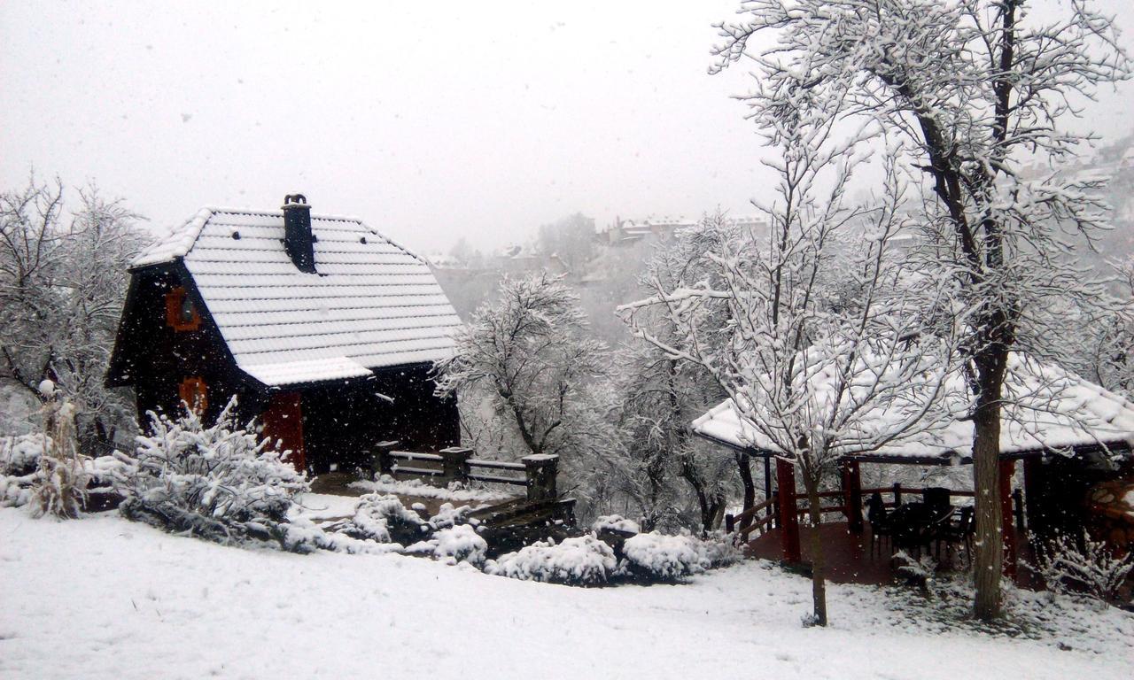 Vacation Home Nana Mokra Gora Dış mekan fotoğraf