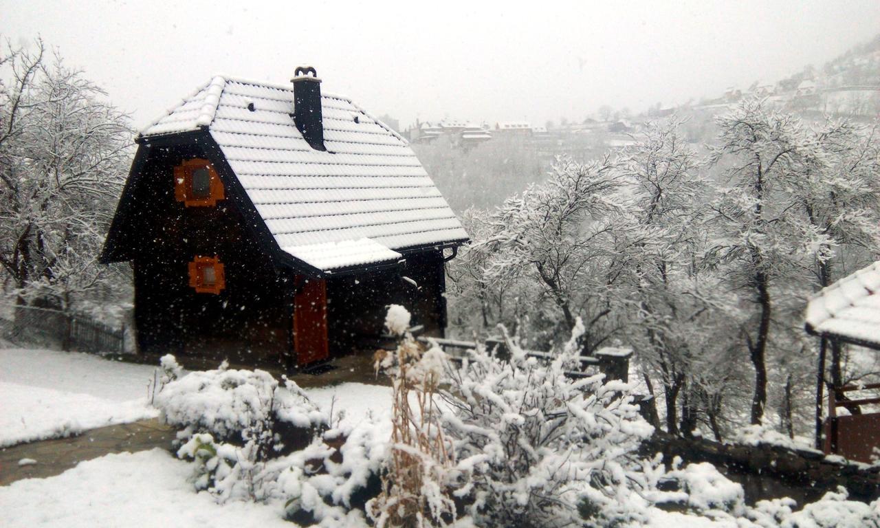 Vacation Home Nana Mokra Gora Dış mekan fotoğraf