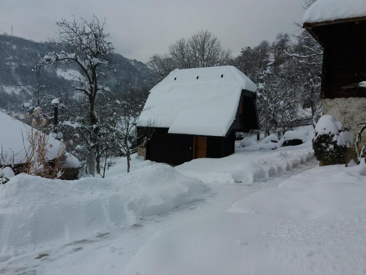 Vacation Home Nana Mokra Gora Dış mekan fotoğraf